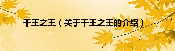 千王之王（关于千王之王的介绍）
