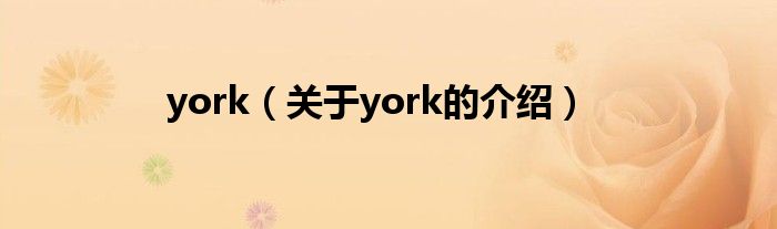 york（关于york的介绍）