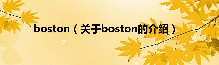 boston（关于boston的介绍）