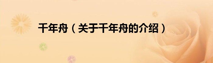 千年舟（关于千年舟的介绍）