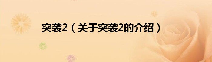 突袭2（关于突袭2的介绍）