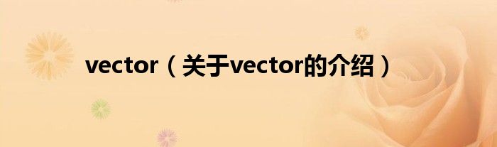 vector（关于vector的介绍）