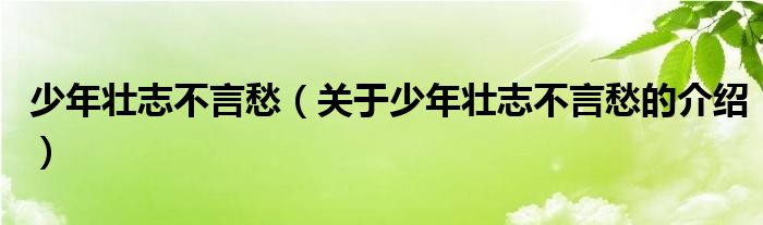 少年壮志不言愁（关于少年壮志不言愁的介绍）