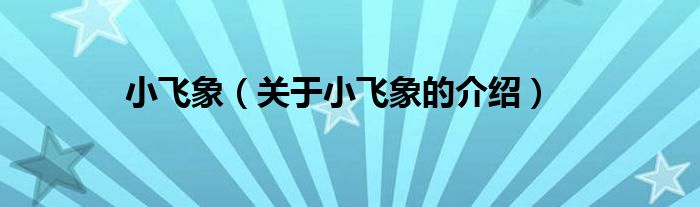小飞象（关于小飞象的介绍）