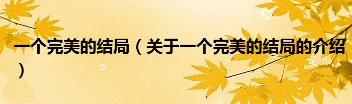 一个完美的结局（关于一个完美的结局的介绍）