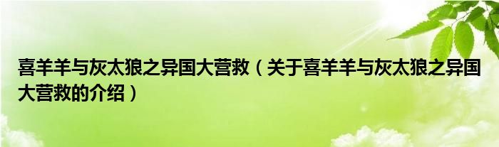 喜羊羊与灰太狼之异国大营救（关于喜羊羊与灰太狼之异国大营救的介绍）