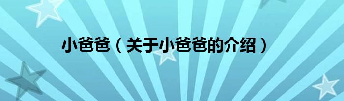 小爸爸（关于小爸爸的介绍）