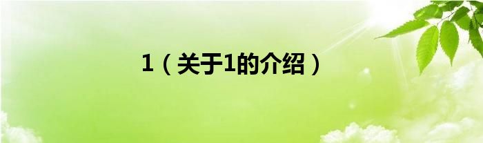 1（关于1的介绍）