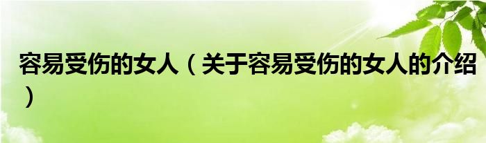 容易受伤的女人（关于容易受伤的女人的介绍）