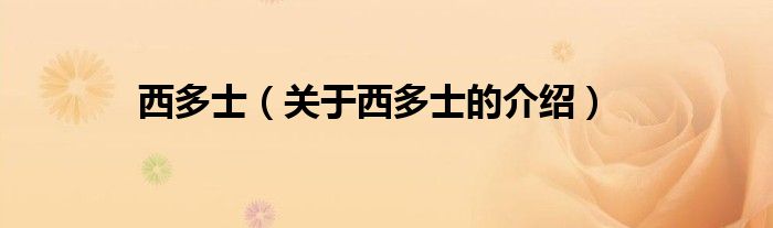 西多士（关于西多士的介绍）