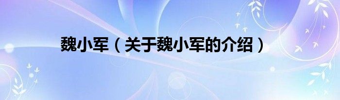 魏小军（关于魏小军的介绍）