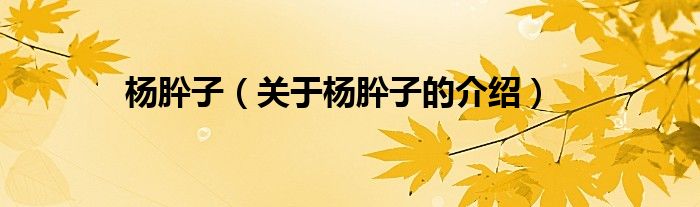 杨肸子（关于杨肸子的介绍）