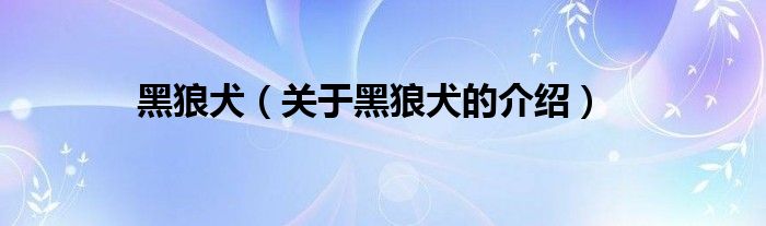 黑狼犬（关于黑狼犬的介绍）