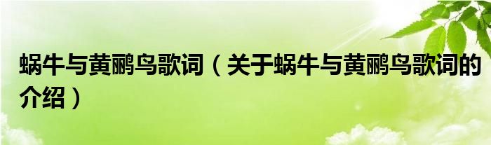 蜗牛与黄鹂鸟歌词（关于蜗牛与黄鹂鸟歌词的介绍）