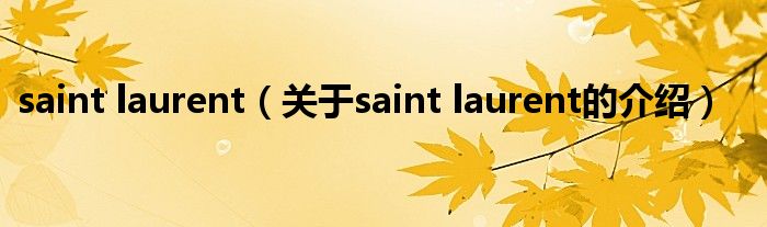 saint laurent（关于saint laurent的介绍）