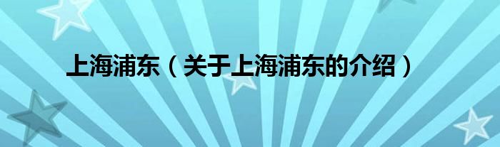 上海浦东（关于上海浦东的介绍）