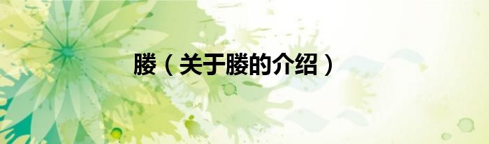 媵（关于媵的介绍）