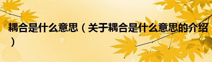 耦合是什么意思（关于耦合是什么意思的介绍）