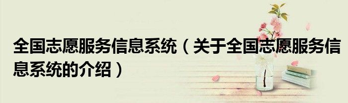 全国志愿服务信息系统（关于全国志愿服务信息系统的介绍）