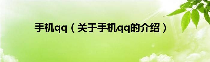手机qq（关于手机qq的介绍）