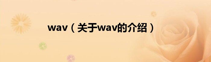 wav（关于wav的介绍）