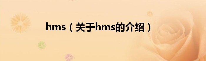 hms（关于hms的介绍）