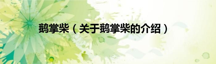 鹅掌柴（关于鹅掌柴的介绍）