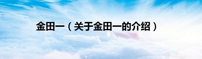 金田一（关于金田一的介绍）