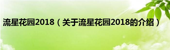流星花园2018（关于流星花园2018的介绍）