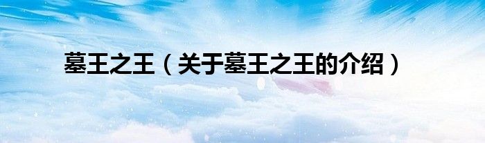 墓王之王（关于墓王之王的介绍）