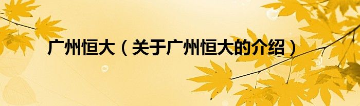 广州恒大（关于广州恒大的介绍）