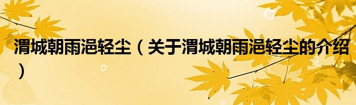 渭城朝雨浥轻尘（关于渭城朝雨浥轻尘的介绍）