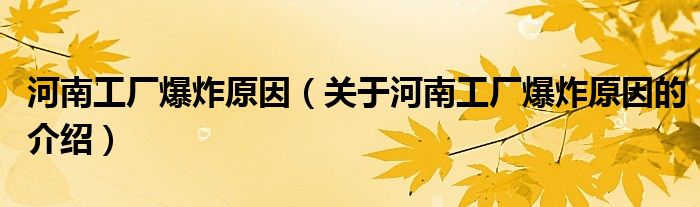 河南工厂爆炸原因（关于河南工厂爆炸原因的介绍）