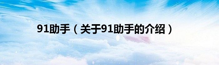 91助手（关于91助手的介绍）