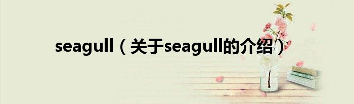 seagull（关于seagull的介绍）