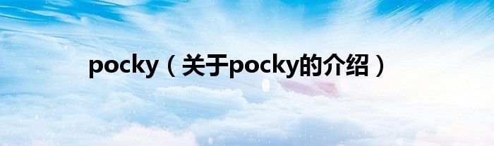 pocky（关于pocky的介绍）