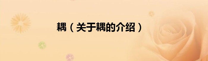 耦（关于耦的介绍）