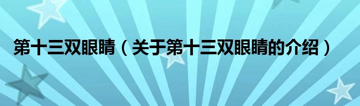 第十三双眼睛（关于第十三双眼睛的介绍）