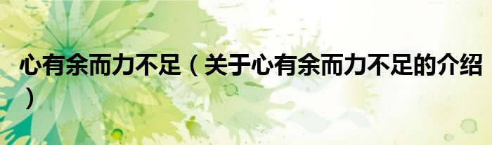心有余而力不足（关于心有余而力不足的介绍）