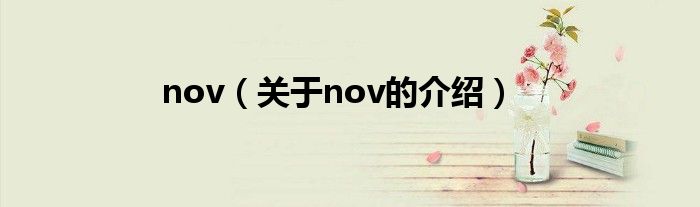 nov（关于nov的介绍）