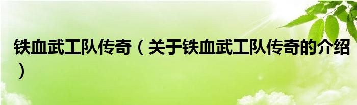 铁血武工队传奇（关于铁血武工队传奇的介绍）
