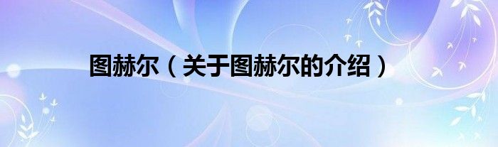 图赫尔（关于图赫尔的介绍）