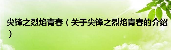 尖锋之烈焰青春（关于尖锋之烈焰青春的介绍）