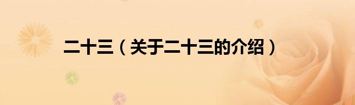 二十三（关于二十三的介绍）