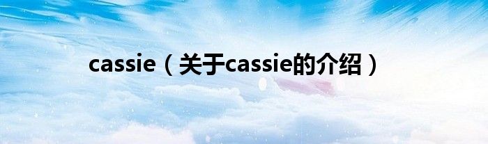 cassie（关于cassie的介绍）