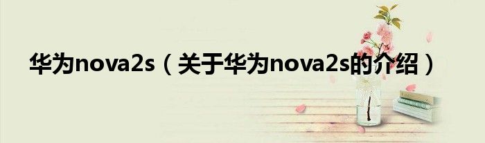 华为nova2s（关于华为nova2s的介绍）