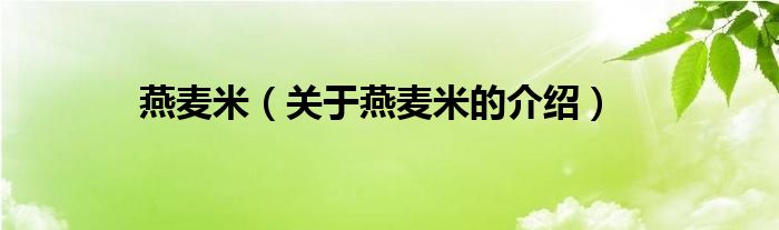 燕麦米（关于燕麦米的介绍）
