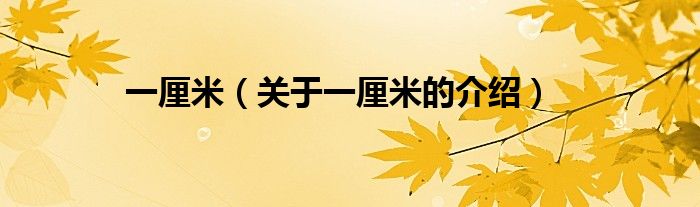 一厘米（关于一厘米的介绍）