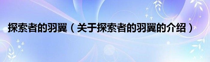 探索者的羽翼（关于探索者的羽翼的介绍）