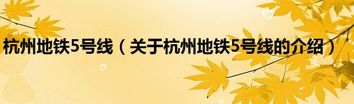 杭州地铁5号线（关于杭州地铁5号线的介绍）